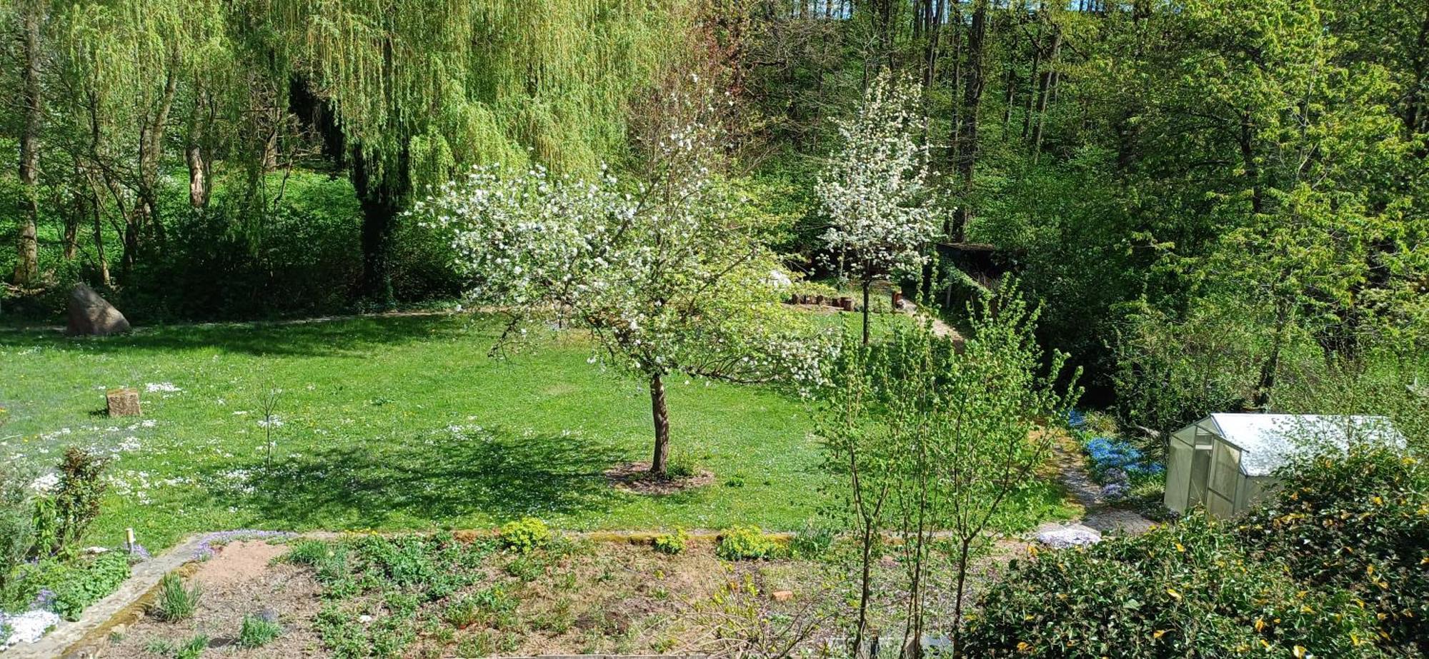 Wohnung In Medlitz Rattelsdorf Екстериор снимка